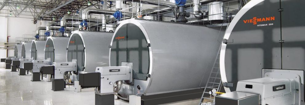 Viessmann plants